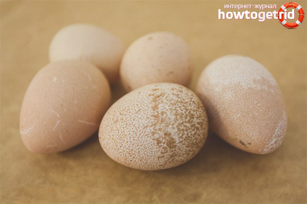 Лечебные свойства яиц цесарки
