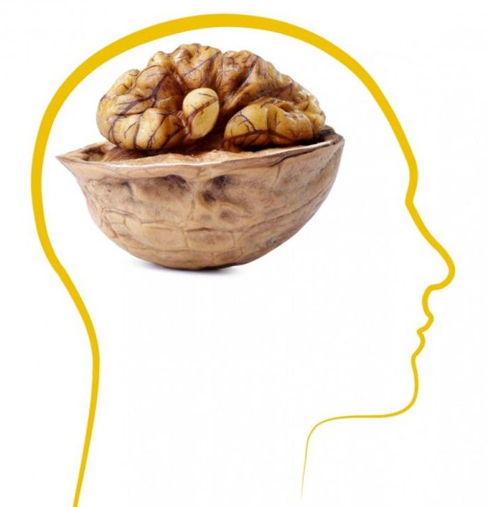 Грецкий орех польза для мозга